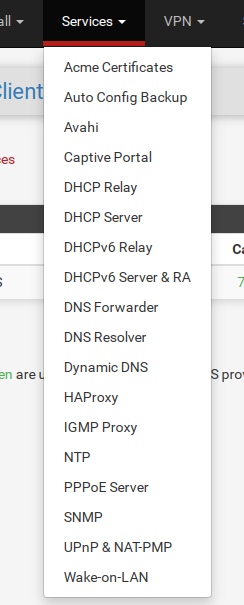 Services Menu - select 'Dynamic DNS'
